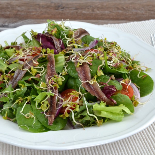 Salad with spinach and anchois